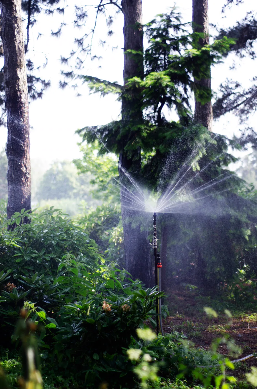 A sprinkler misting a shaded garden.